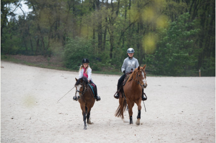 Overnachten met je paard op Sandberghe in de Maashorst VMP136